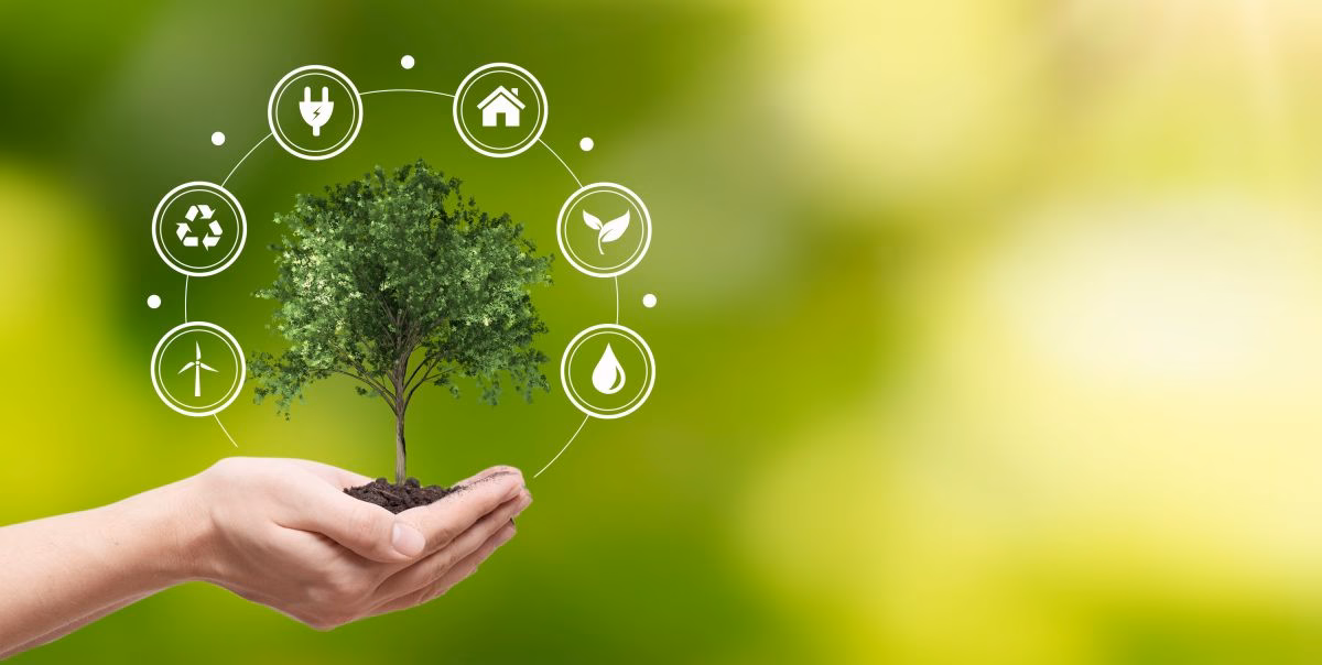 Hand holding tree. Save nature, ecology concept