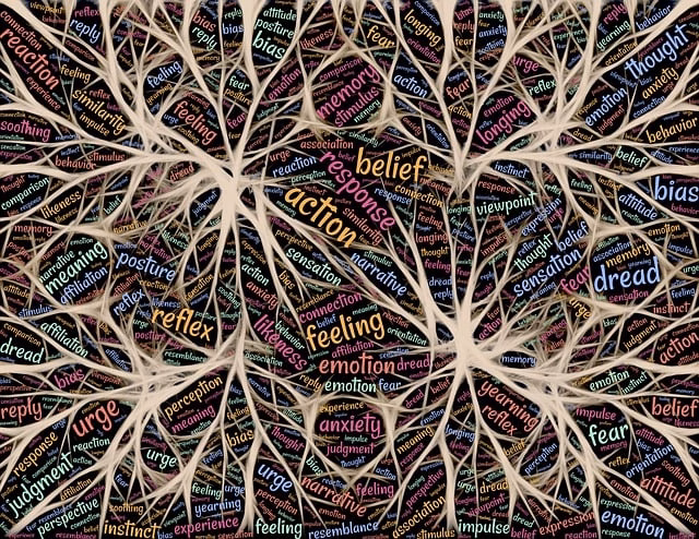 mental-2301393_640